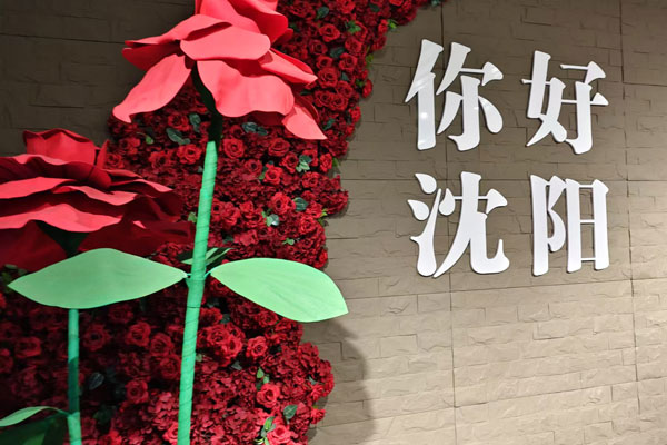 沈阳静脉曲张微创中心：专注于静脉曲张及周围血管病的诊断与治疗