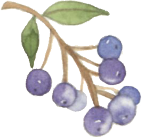 守护下肢，健康同行