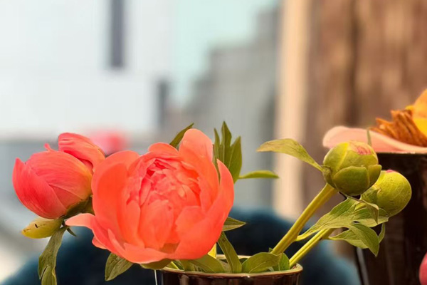 大连静脉曲张专科