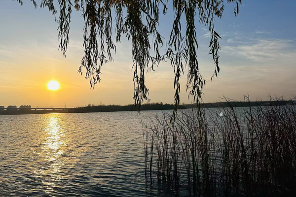 沈阳做静脉曲张的医院